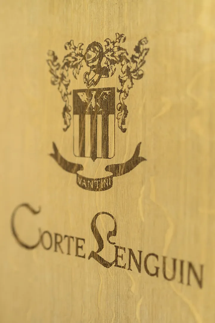 corteLegium01